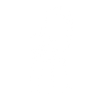 A strawberry thief sits on a No. 14 chair